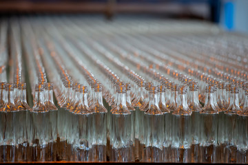 Glassworks. Glass industry. Many glass bottles on a factory conveyor.