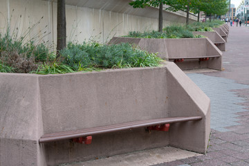 A Row of Benches with Planters and Green Plants in Washington D.C.