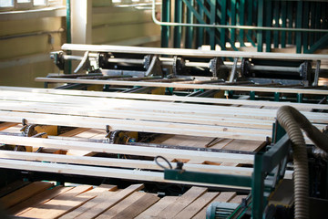 Wood processing plant. Wood cutting workshop