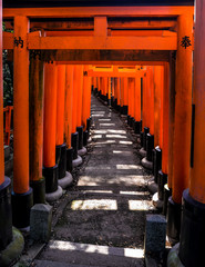 The iconic shrine in Kyoto, made famous for its thousands of orange and black torii gates which...