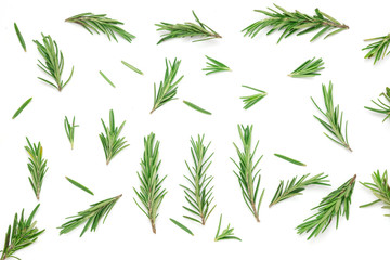 Rosemary leaves isolated on white background, top view, flat lay