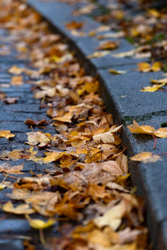Bordstein Ahorn Bl&auml;tter Kante Laub nass Herbst Regen Kurve Rinnstein Friedhof Herbst Paris Frankreich P&egrave;re-Lachaise