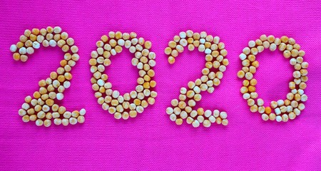 dry peas on pink cloth in the form of numbers 2020