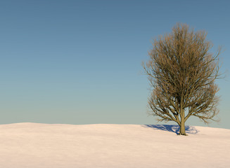 Schneelandschaft mit Baum Winter
