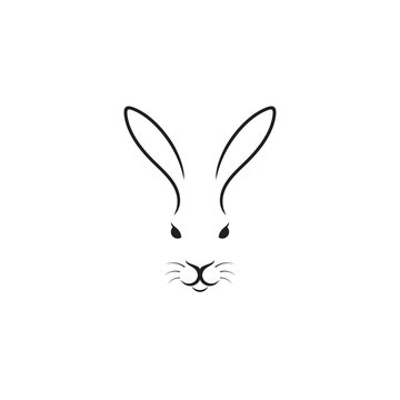 Cute rabbit. Easter bunny