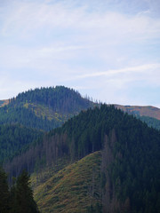 mountains in autumn forest travel