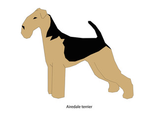 A dog vector illustration isolated