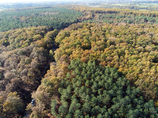 forêt à l'automne vue du ciel