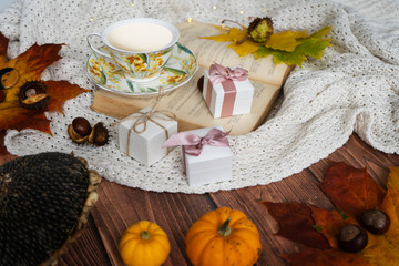 Fototapeta na wymiar Thanksgiving Day. Vegetables and berries. White and orange pumpkins, cones and nuts, autumn leaves. Gifts of nature. Gif box. Happy Thanksgiving. Be thankful. Gather with family. Harvest.