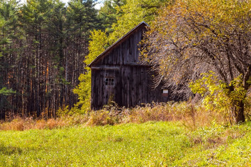 old barn in autumn