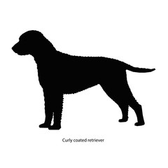 A dog vector illustration isolated