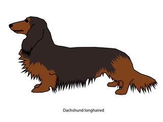 A dog vector illustration isolated