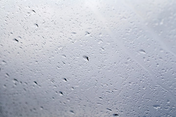 drops of rain on glass window blurred forest background
