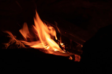 Fototapeta premium Camp Fire on black background. Flames of an open-air fire at night. 