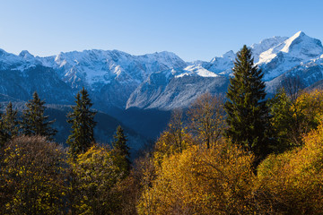 Herbstlicher Bergmischwald vor verschneiter Kulisse des Hochgebirges
