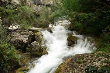 Fototapeta na wymiar Water flow of the canyon. Forest and mountain landscapes. Crimea,Russia