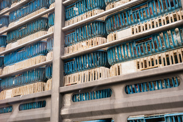 Obraz premium Chickens transportation in cramped cage stacked on a truck