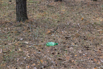 Obraz premium Green plastic bottle on the ground in a pine forest.