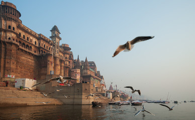 Varanasi, Banaras, Uttar Pradesh, India - January 31, 2011: Boats and Migratory Seagull birds at...