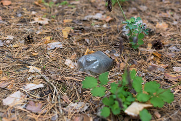 White plastic bottle on the ground in a pine forest.