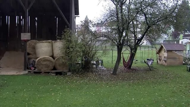 Es regnet (Kamerazoomfahrt, Originalton)