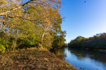 autumn landscape with river and trees early morning