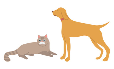 Cat lying, dog standing characters, animal on white, adorable mammals, domestic pet in flat design style, retriever and kitty side and portrait view vector illustration for t-shirt print