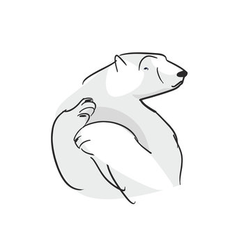 Polar bear pattern on white background. Bear character drawing. Bear vector