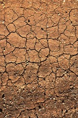 cracked soil golden brown. texture. place for text
