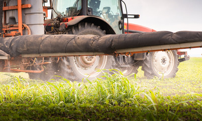 Fototapeta premium Tractor spraying soybean field