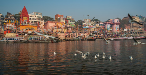 Varanasi, Banaras, Uttar Pradesh, India - January 31, 2011: Boats and Migratory Seagull birds at...