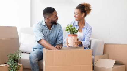 Black Couple Packing Plant In Moving Box Sitting Indoor, Panorama