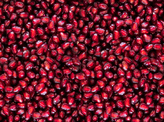 freshly cleaned Pomegranate seeds close up