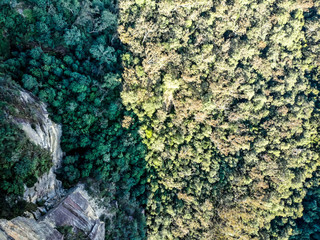 Aerial view of the forest and cliffs of the Blue Mountain in NSW, Australia
