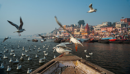 Varanasi, Banaras, Uttar Pradesh, India - January 31, 2011: Boats and Migratory Seagull birds at...