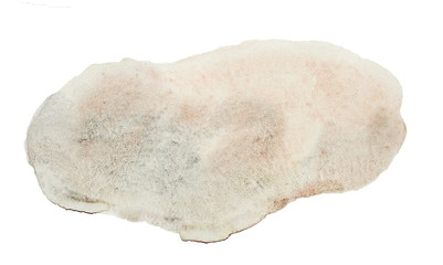 Watercolor Texture Hand Painted Blobs