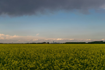 Obraz premium Downtown edmonton from far away (cloudy)