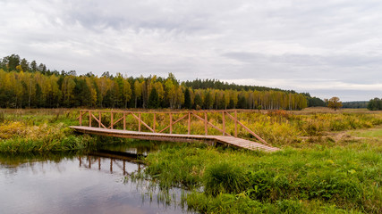 Puszcza Knyszyńska, Polska złota jesień, Podlasie, Polska