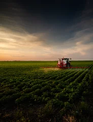 Cercles muraux Tracteur Tractor spraying soybean field in sunset.