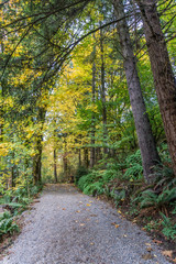 Obraz premium Tumwater Falls Park Path 7