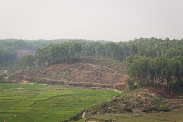 A great evergreen highland view from a tower in Bangladesh