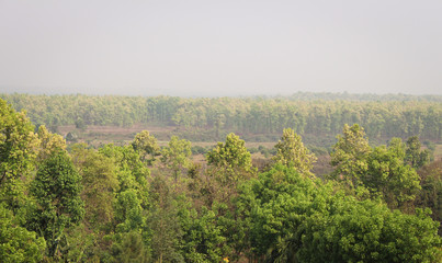 Fototapeta na wymiar A great evergreen highland view from a tower in Bangladesh