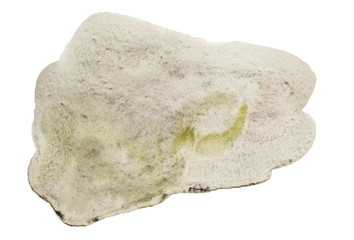 Watercolor Splashes and Splotches Hand Painted Texture