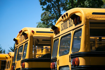 Side view on row of parked yellow school buses