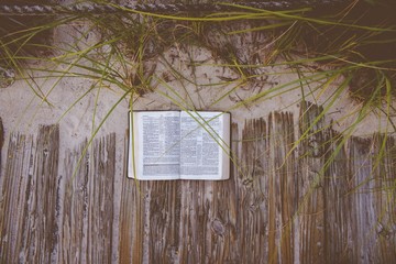 Overhead shot of an open bible on a wooden pathway near a sandy shore and plants - obrazy, fototapety, plakaty