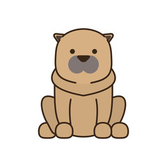 cute little dog fill style icon