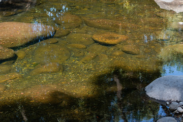 River and rocks whith fish 