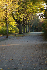 Friedhofsweg - Hauptfriedhof in Mülheim an der Ruhr