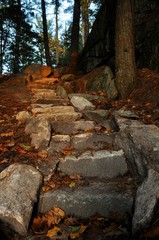 Fototapeta na wymiar Granite a Stairway on Wooded Trail