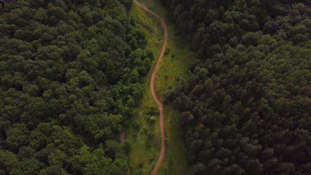 Areial Tilt Up View of Dirt Path in the Middle of Transylvania Forest.